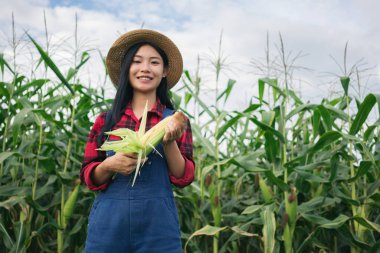 Mısır alanında mutlu çiftçi