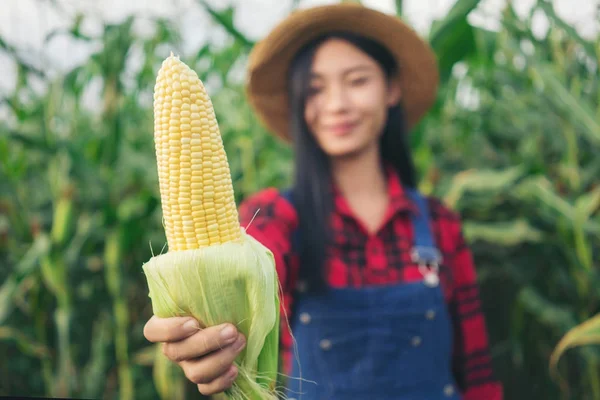 Fazendeiro feliz no campo de milho — Fotografia de Stock