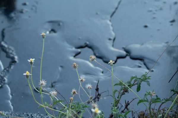 Surface de pétrole brut texturée avec usine — Photo