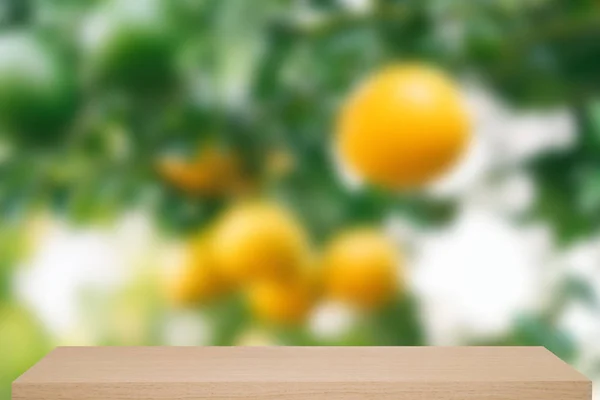 Fresh orange hanging on tree defocus background with shelf — Stock Photo, Image