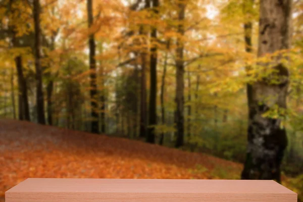 Herbst Wald defokussieren Hintergrund mit Holzregal — Stockfoto