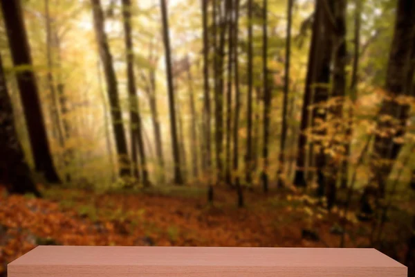 Herbst Wald defokussieren Hintergrund mit Holzregal — Stockfoto