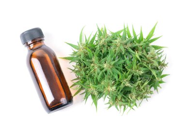 Beyaz arkaplanda izole edilmiş kenevir ve kenevir özü