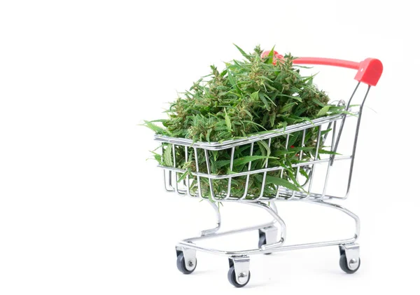 Marijuana flower in shopping cart isolated on white background — Stock Photo, Image