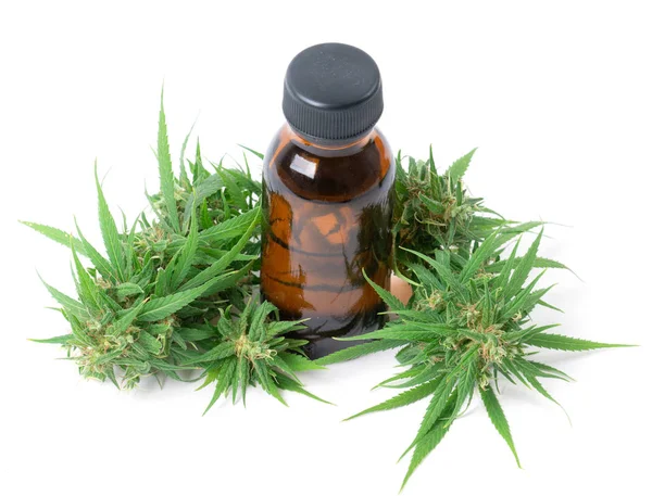 Cannabis met cannabidiol extract geïsoleerd op witte achtergrond — Stockfoto