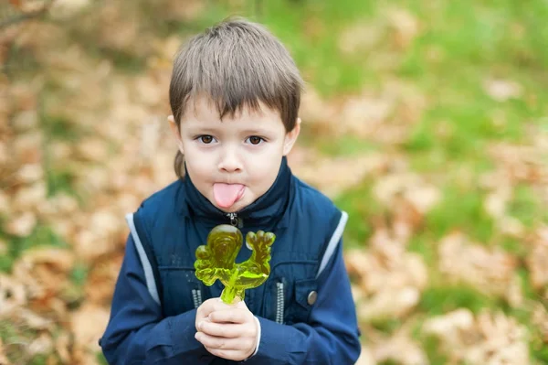 ロリポップ オンドリ、2017年のシンボルを持った少年 — ストック写真