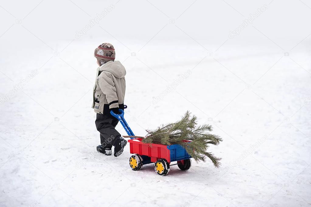 boy with Christmas tree and red wagon
