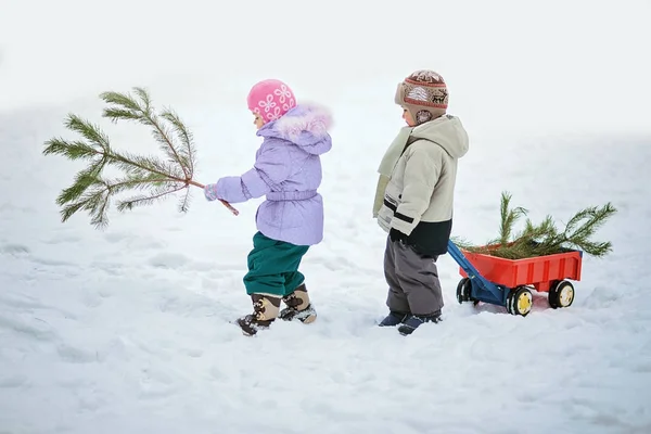 Liten pojke bär en julgran med röd vagn. barnet väljer en julgran. — Stockfoto