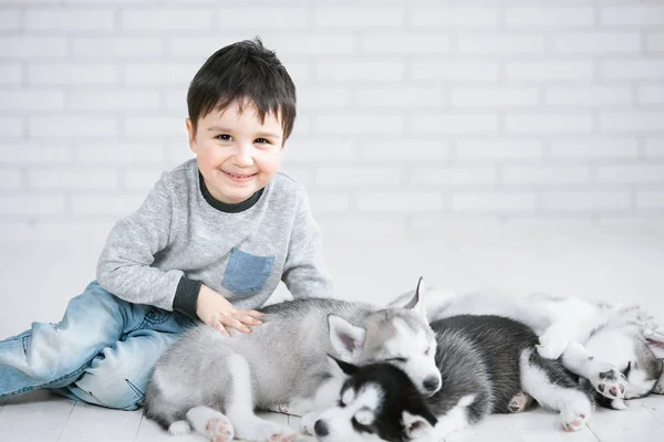 Roztomilý malý kluk a tři štěňátka husky spací na bílém pozadí. Symbol nového roku 2018 — Stock fotografie