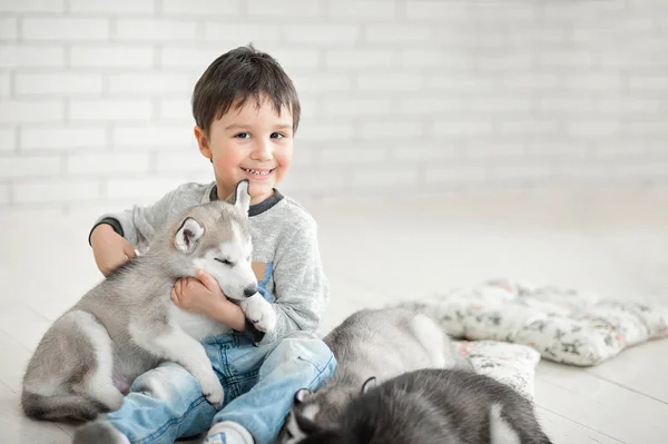 Roztomilý malý kluk a tři štěňátka husky spací na bílém pozadí. Symbol nového roku 2018 — Stock fotografie