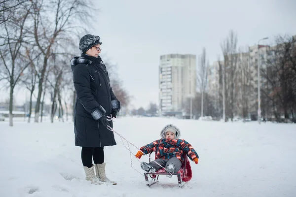 Γιαγιά Και Εγγονός Έλκηθρο Στο Πάρκο Μια Χειμωνιάτικη Μέρα Μικρό — Φωτογραφία Αρχείου