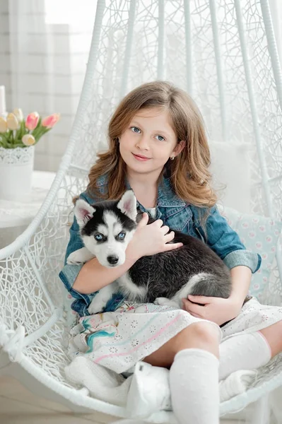 Roztomilá holčička objímat husky štěně na bílém pozadí. Symbol nového roku 2018 — Stock fotografie