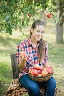 Kırmızı elma meyve bahçesinde kız. Hasat kavramı.