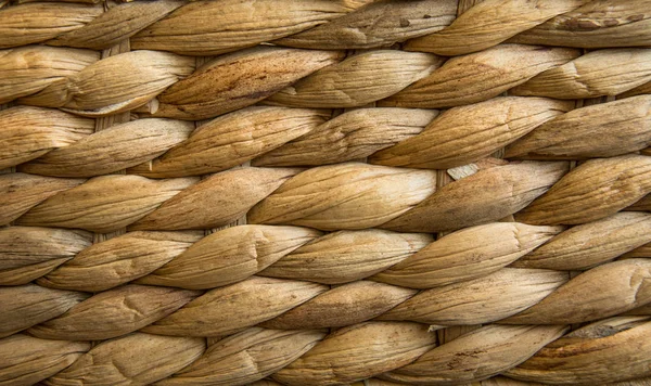 Fondo Arte Hoja Plátano Seco Textura Jacinto Agua Seca — Foto de Stock