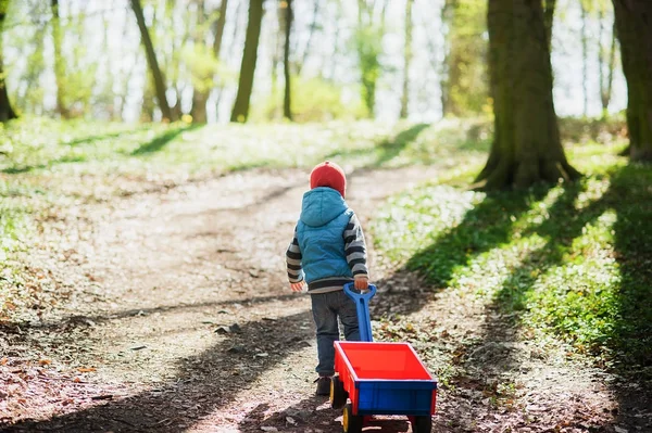 Ten kluk jede červený vozík na cestě v lese — Stock fotografie