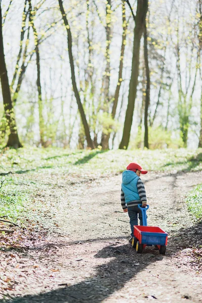 那男孩在森林的小路上开着一辆红色的马车。 — 图库照片
