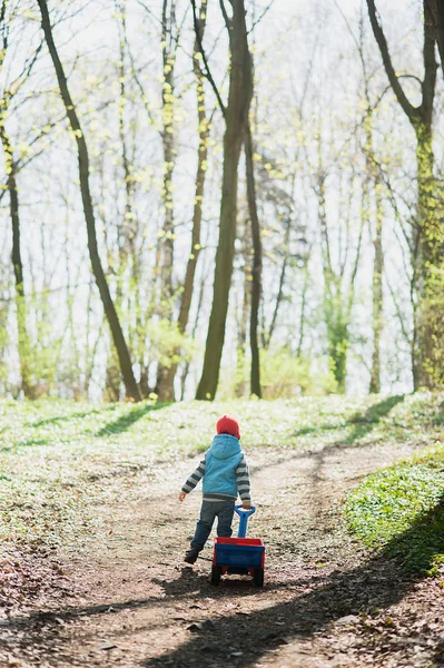 Ten kluk jede červený vozík na cestě v lese — Stock fotografie