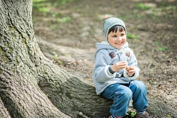 Happy usměvavý chlapec sedí na kořeny stromu a klepe ořechy volání veverka — Stock fotografie