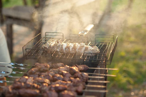 Close Juicy Slices Shish Kebab Grill Charcoal — Stock Photo, Image