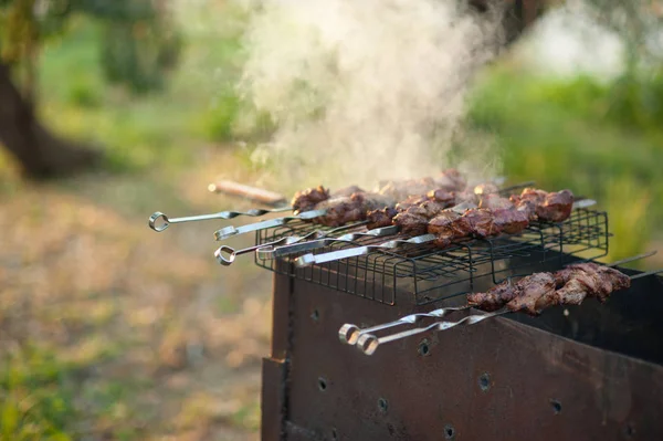 Close Fatias Suculentas Kebab Shish Grelha Sobre Carvão Vegetal — Fotografia de Stock