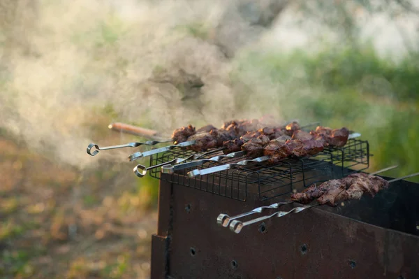 Close Fatias Suculentas Kebab Shish Grelha Sobre Carvão Vegetal — Fotografia de Stock