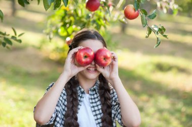 Elma elma bahçesi ile kız