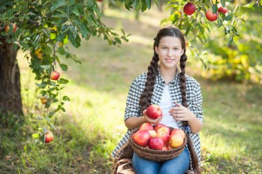 Elma elma bahçesi ile kız