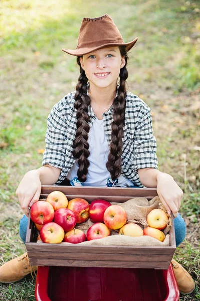 Chica con manzana en el huerto de manzana — Foto de Stock