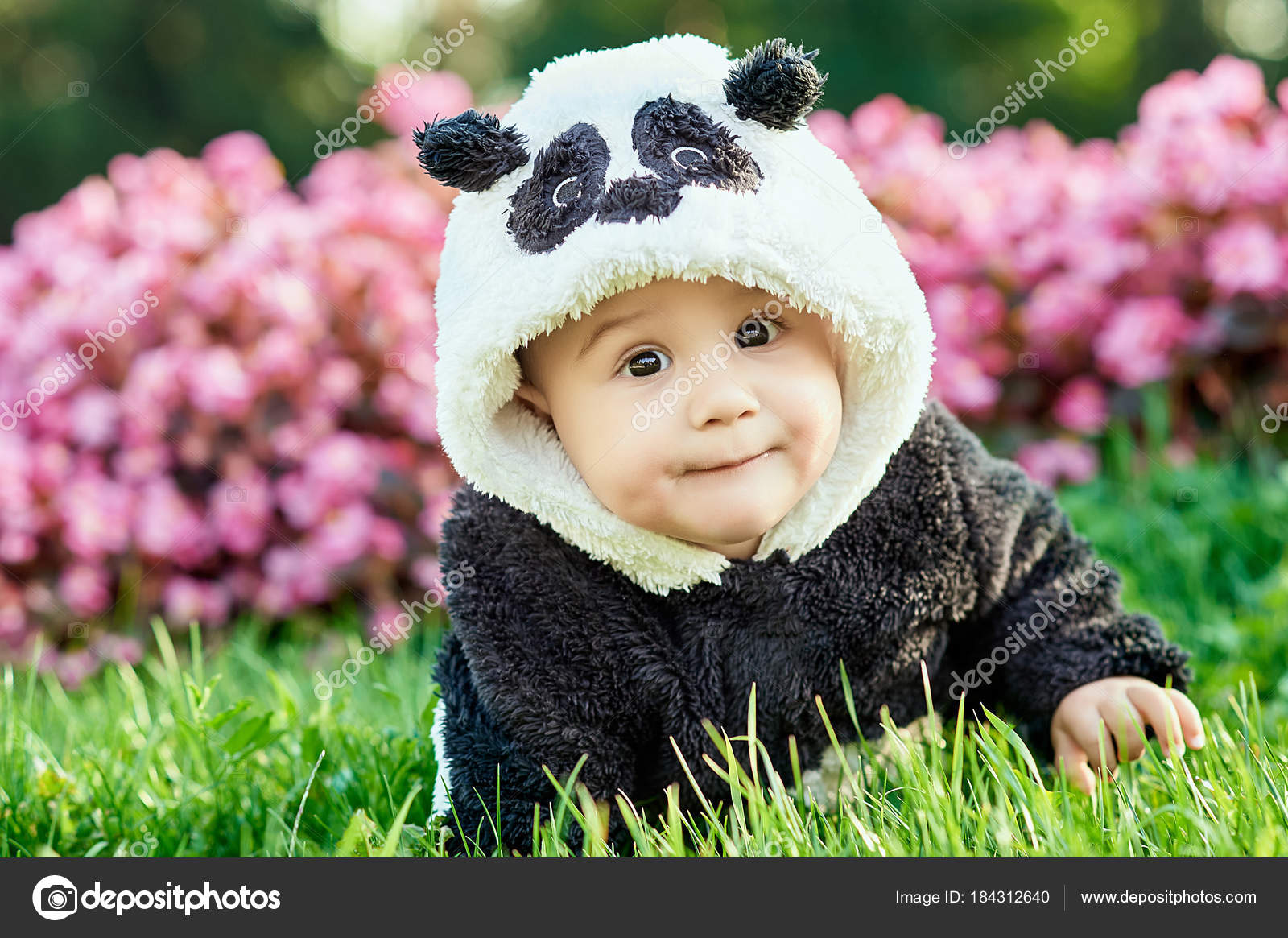 panda suit baby