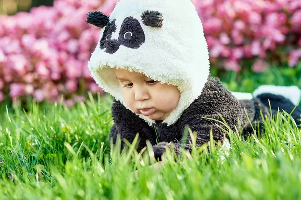 婴儿穿熊猫熊套装 — 图库照片