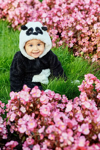Baby dragen Panda bear suit — Stockfoto