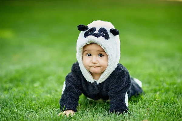 Garçon portant costume ours Panda — Photo