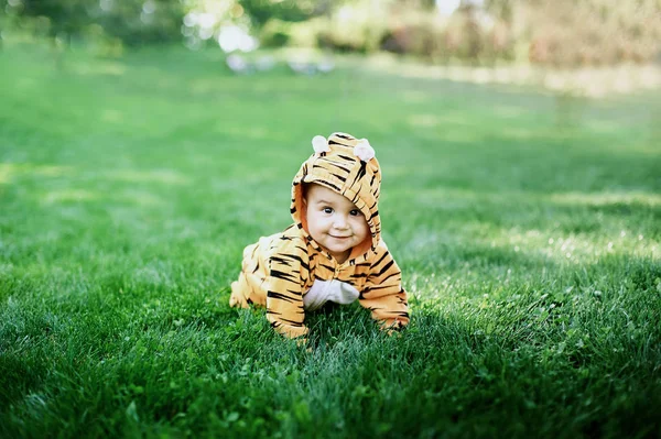 Bébé garçon portant costume de tigre — Photo