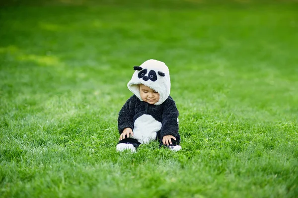 可爱的小男孩穿着熊猫熊西装坐在草地上公园. — 图库照片
