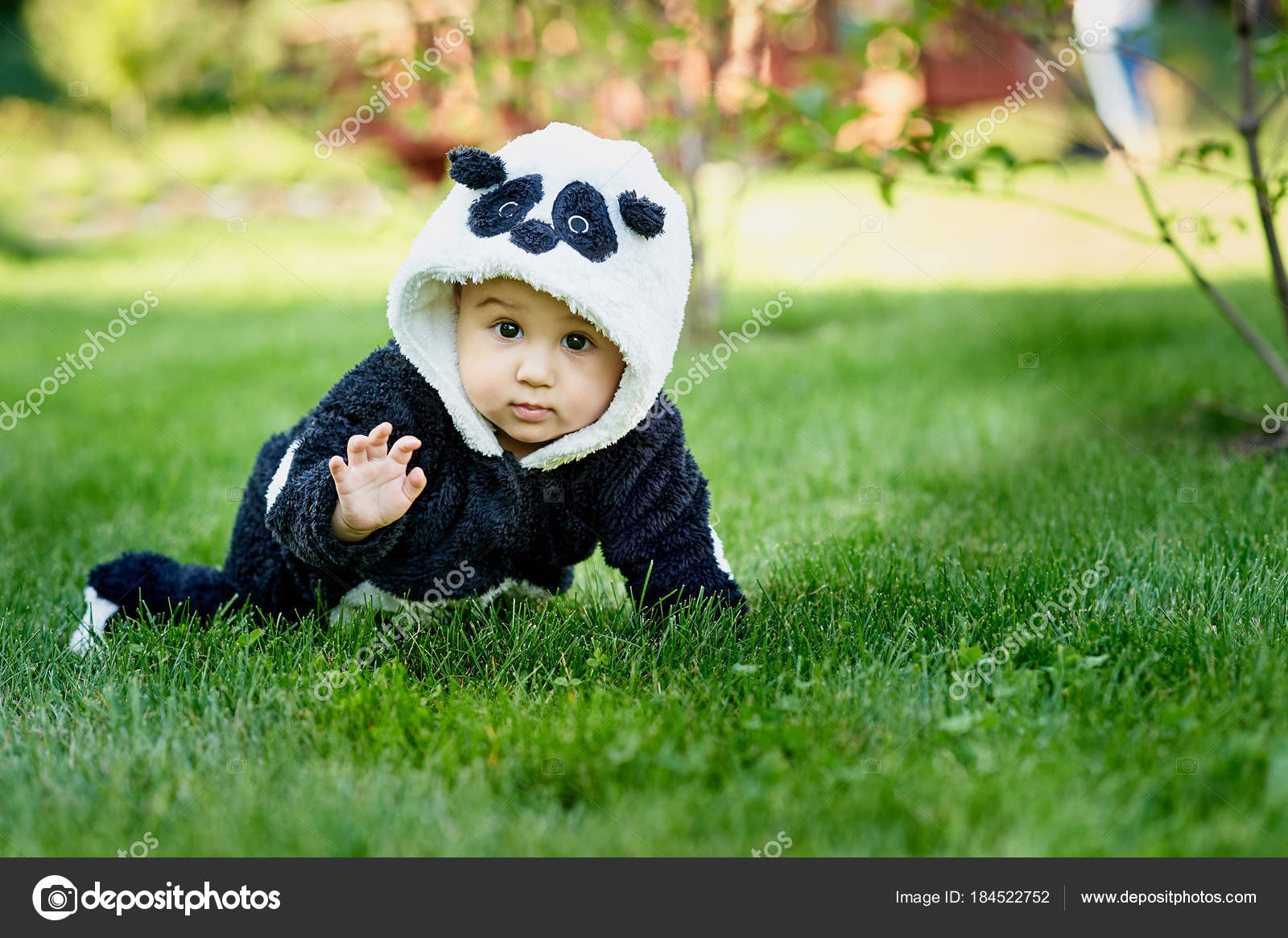 baby boy bear suit