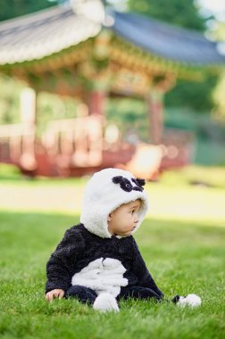 Çim Park'ta oturuyor ve bir ayı Panda takım elbise sevimli bebeğim.