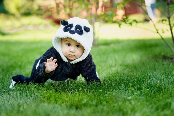 公園で芝生に座っているパンダのクマのスーツを着てかわいい男の子. — ストック写真