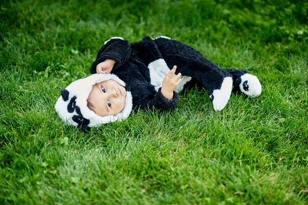 Bonito menino vestindo um terno de urso Panda sentado na grama no parque . — Fotografia de Stock