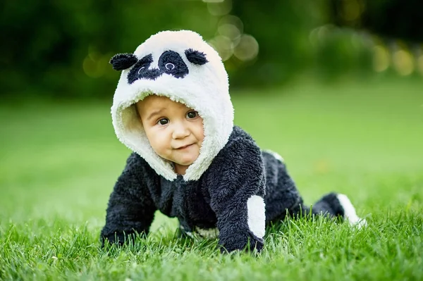 Bébé garçon mignon portant un costume d'ours panda assis dans l'herbe au parc . — Photo