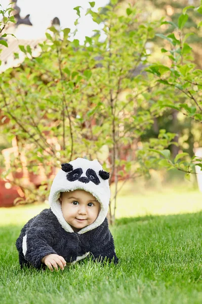 Χαριτωμένο μωρό αγόρι φορώντας ένα κοστούμι να φέρει Panda κάθεται στο γρασίδι στο πάρκο. — Φωτογραφία Αρχείου