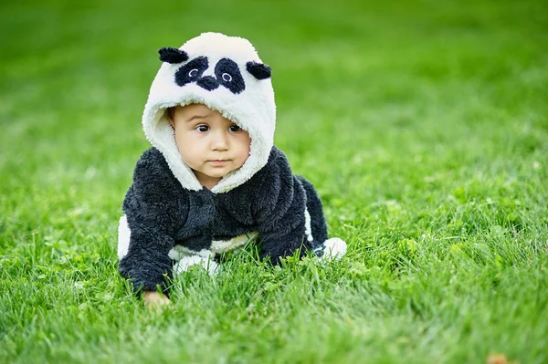 Bonito menino vestindo um terno de urso Panda sentado na grama no parque . — Fotografia de Stock
