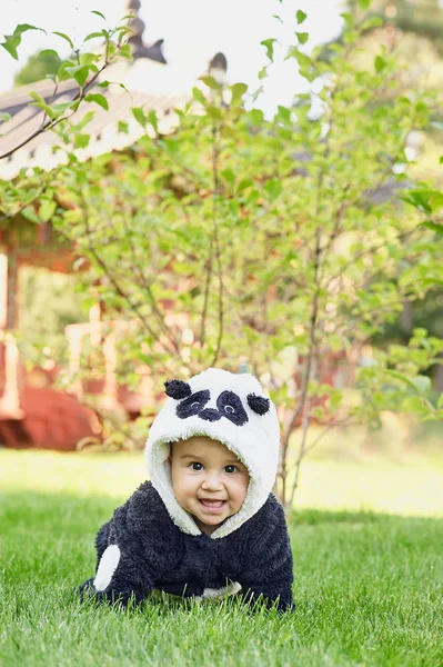 Roztomilý chlapeček na sobě kostým medvěd Panda sedící v trávě v parku. — Stock fotografie