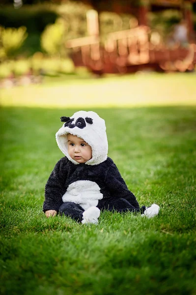 Lindo bebé niño usando un traje de oso Panda sentado en la hierba en el parque . —  Fotos de Stock