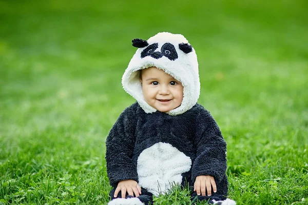 Aranyos kisfiú ül a fűben, a park Panda medve öltönyt visel. — Stock Fotó