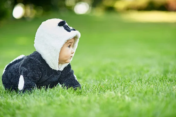 公園で芝生に座っているパンダのクマのスーツを着てかわいい男の子. — ストック写真