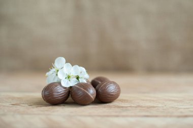 Ahşap arka plan kopya alanı için metin üzerinde çikolata Paskalya yumurtaları