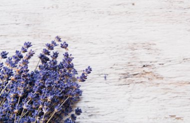 Lavanta çiçekleri, kırsal arka planda buket, genel giderler.