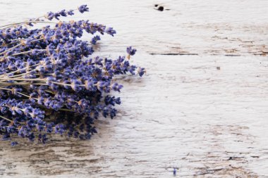 Lavanta çiçekleri, kırsal arka planda buket, genel giderler.