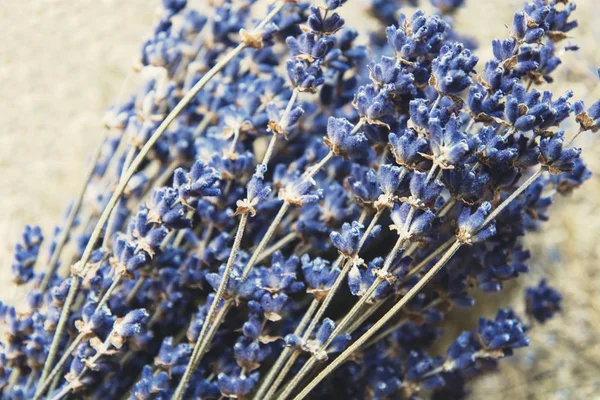 Dried lavender flowers and bouquet with lavender — Stock Photo, Image