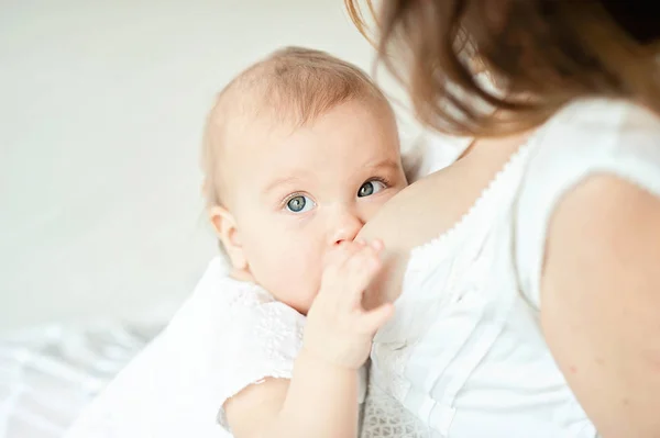 Baby eating mother's milk. Mother breastfeeding baby. — Stock Photo, Image